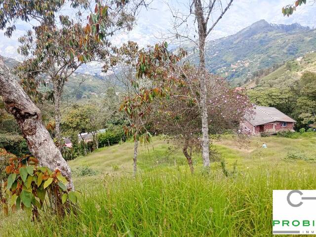 #2560 - Lote para Venta en Rionegro - ANT - 3