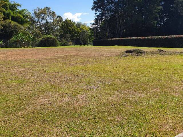 Lote para Venta en Rionegro - 4