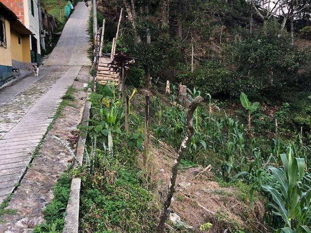 #2572 - Lote para Venta en Rionegro - ANT - 2