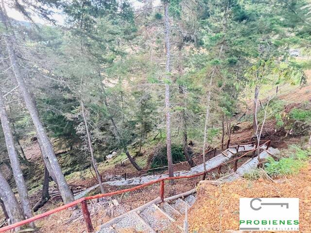 Lote para Venta en San Vicente - 5