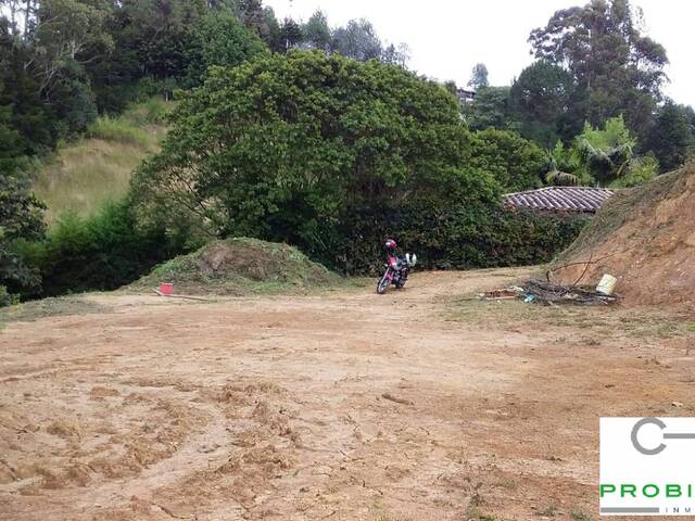 #2592 - Lote para Venta en Rionegro - ANT