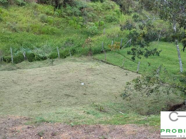 #2592 - Lote para Venta en Rionegro - ANT