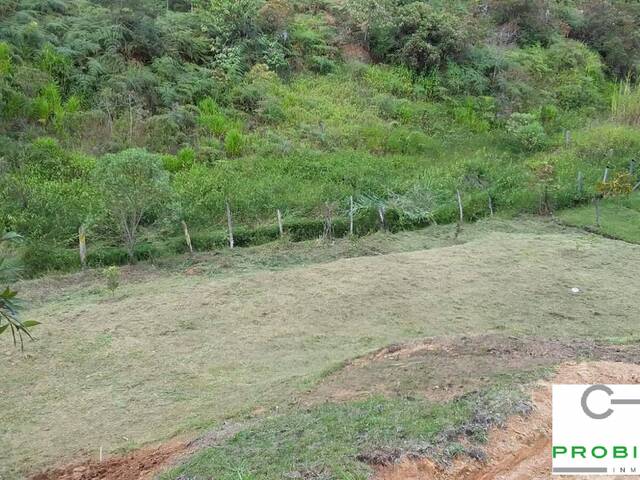 Lote para Venta en Rionegro - 4
