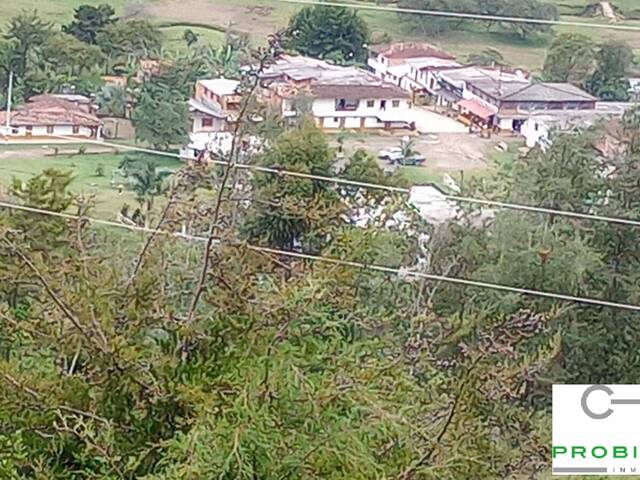 #2595 - Finca para Venta en San Vicente - ANT - 2