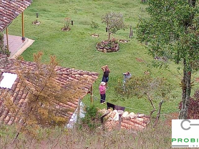 #2595 - Finca para Venta en San Vicente - ANT - 3