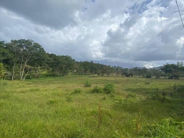 #2600 - Lote para Venta en Rionegro - ANT - 2