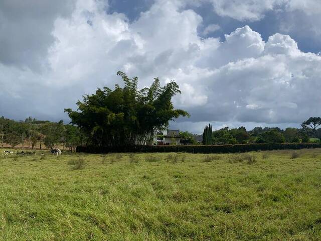 #2600 - Lote para Venta en Rionegro - ANT - 3
