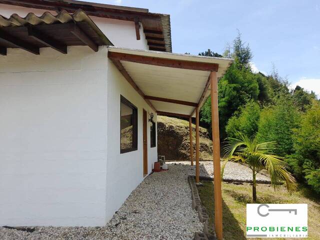#2616 - Casa para Venta en Rionegro - ANT - 2