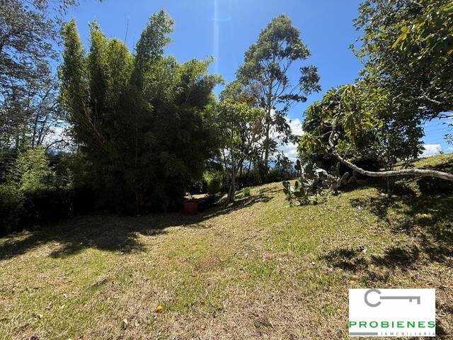 #2622 - Finca para Venta en Rionegro - ANT - 3