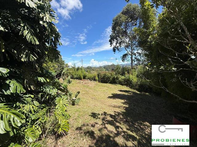 #2622 - Finca para Venta en Rionegro - ANT - 2