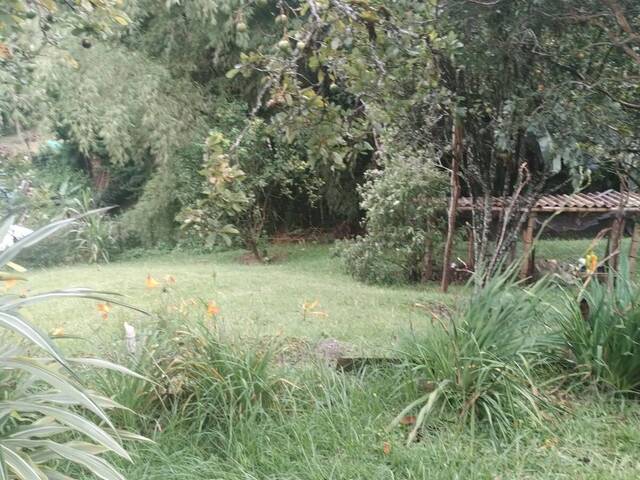 #2643 - Finca para Venta en San Vicente - ANT