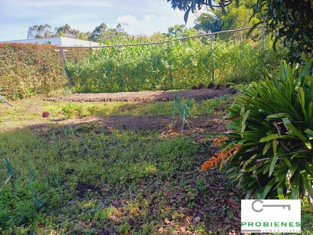 #2645 - Finca para Venta en Rionegro - ANT - 3