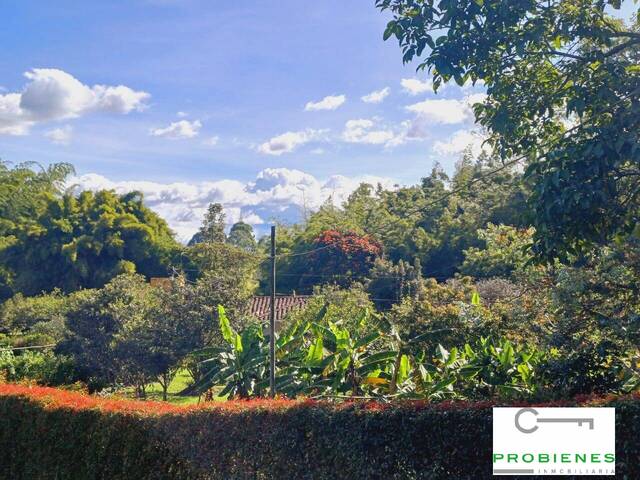 Finca para Venta en Rionegro - 4