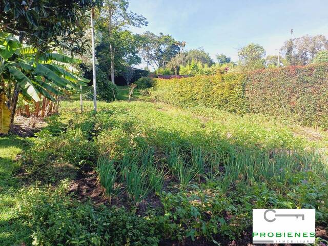 Finca para Venta en Rionegro - 5