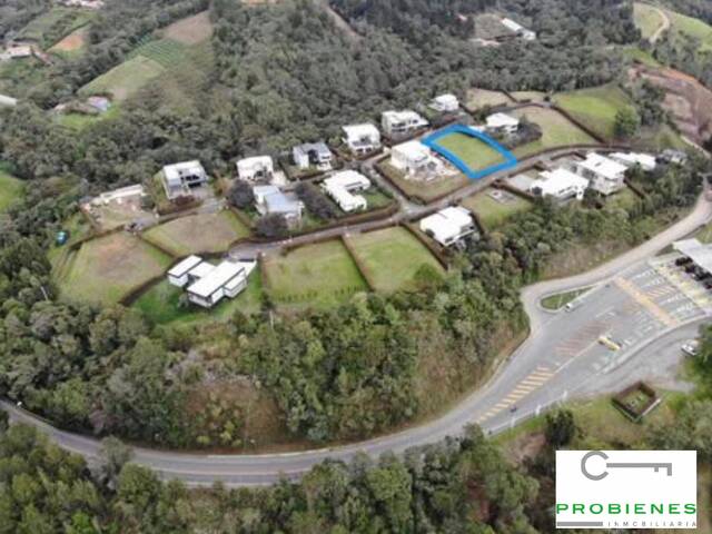 #2646 - Lote para Venta en Rionegro - ANT