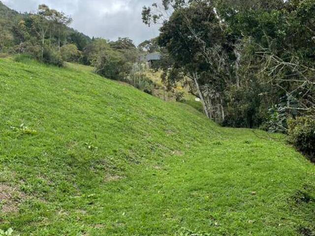 #2658 - Lote para Venta en La Ceja - ANT - 2