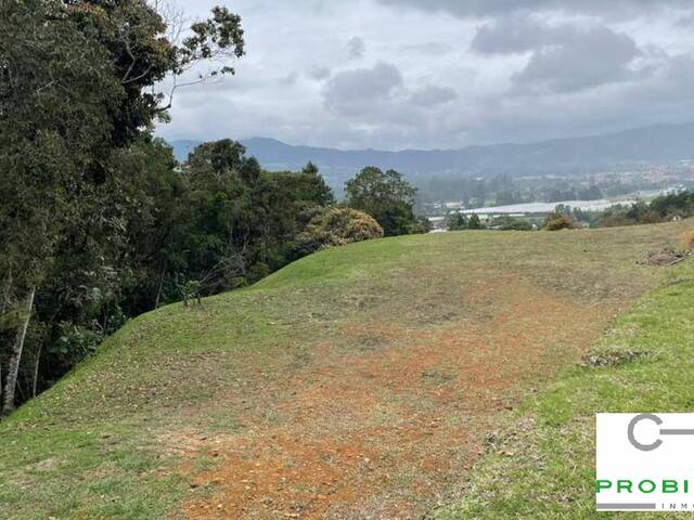 #2658 - Lote para Venta en La Ceja - ANT - 3