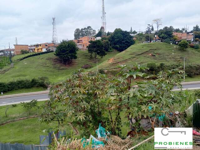 #2664 - Lote para Venta en Rionegro - ANT - 3