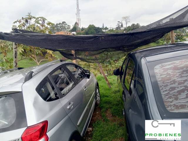 Lote para Venta en Rionegro - 4