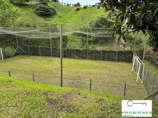 Finca para Venta en Marinilla - 4