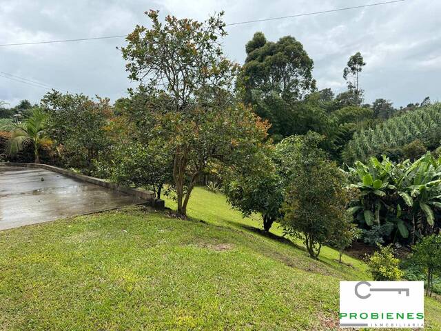 Finca para Venta en Marinilla - 5