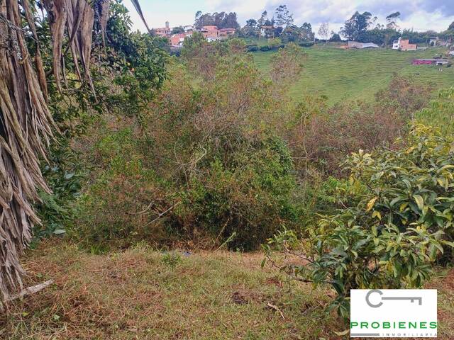 Casa para Venta en Rionegro - 3