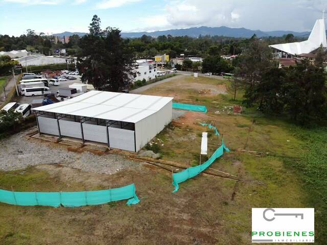 Isla para Venta en Rionegro - 4