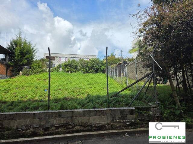 #2690 - Isla para Venta en Medellín - ANT