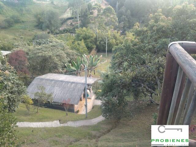 Casa para Venta en Rionegro - 3