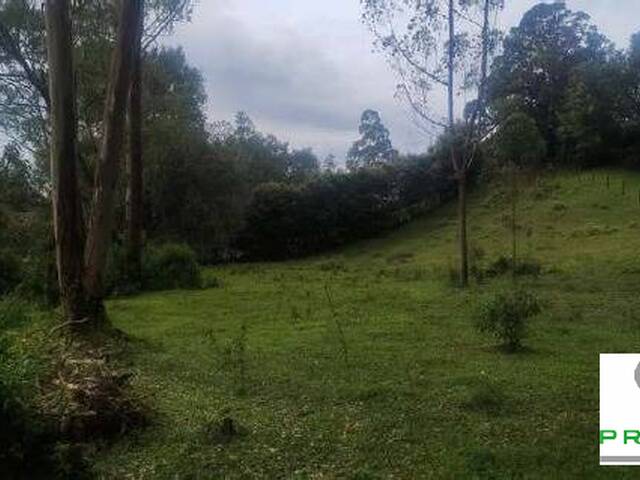  en  - 