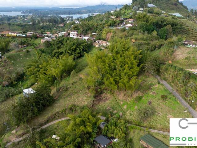 Lote para Venta en Peñol - 2