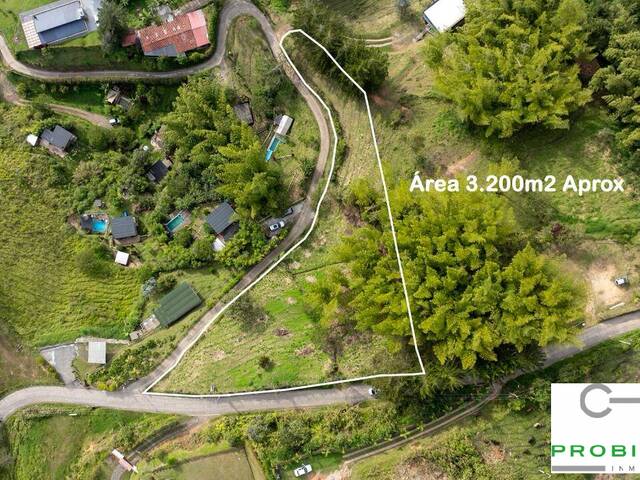 Lote para Venta en Peñol - 3