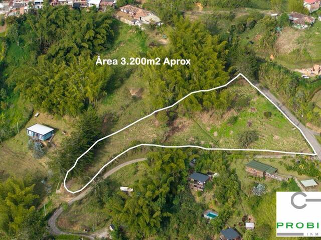 Lote para Venta en Peñol - 4
