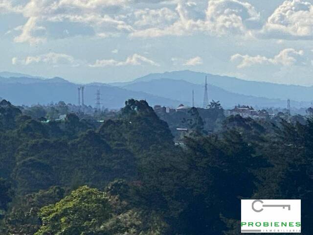#2704 - Isla para Venta en Rionegro - ANT - 2