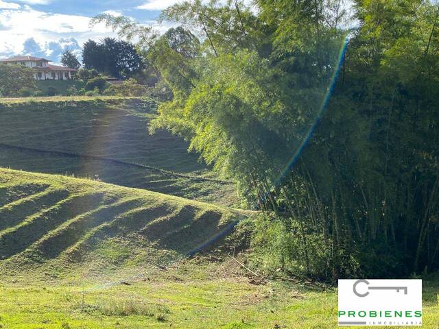 #2704 - Isla para Venta en Rionegro - ANT - 3