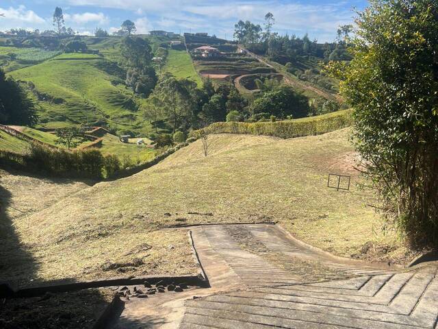 Isla para Venta en Rionegro - 2