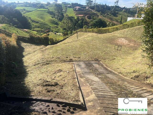 Isla para Venta en Rionegro - 3