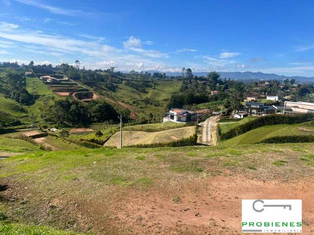 Isla para Venta en Rionegro - 5