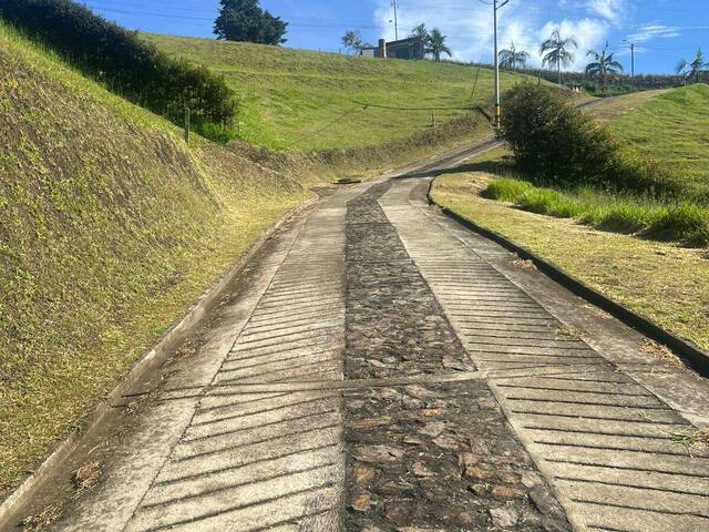 Isla para Venta en Rionegro - 4