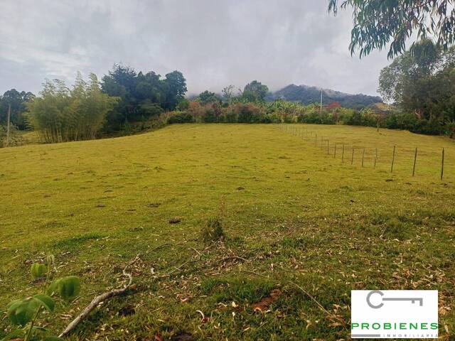 Finca para Venta en Peñol - 2