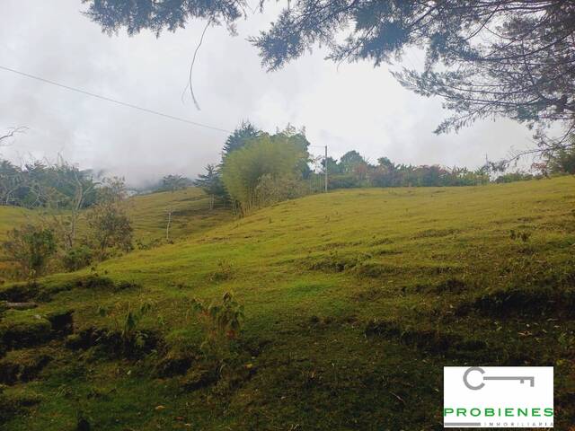 Finca para Venta en Peñol - 3