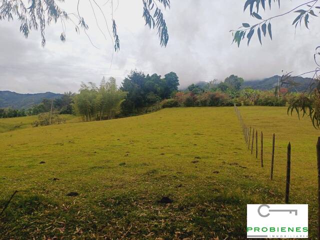 Finca para Venta en Peñol - 4