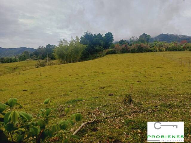 Finca para Venta en Peñol - 5
