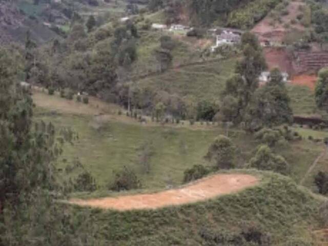 Isla para Venta en Peñol - 2