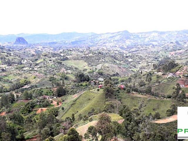 Isla para Venta en Peñol - 4