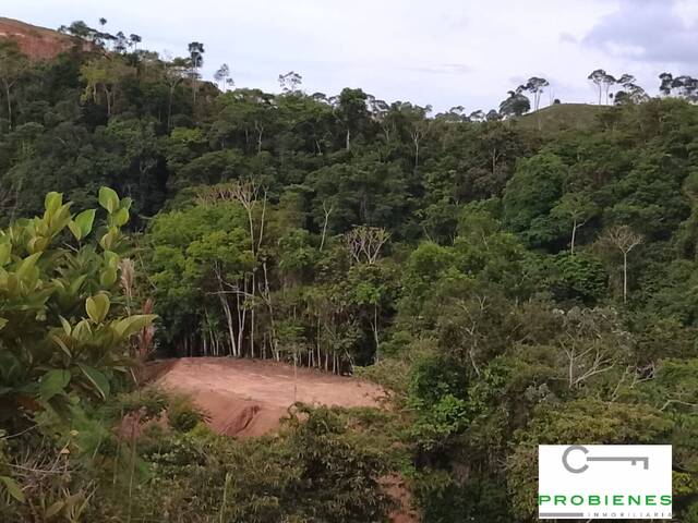 #2722 - Isla para Venta en La Dorada - CAL - 2
