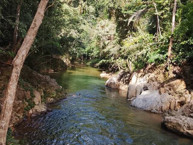 #2722 - Isla para Venta en La Dorada - CAL - 3