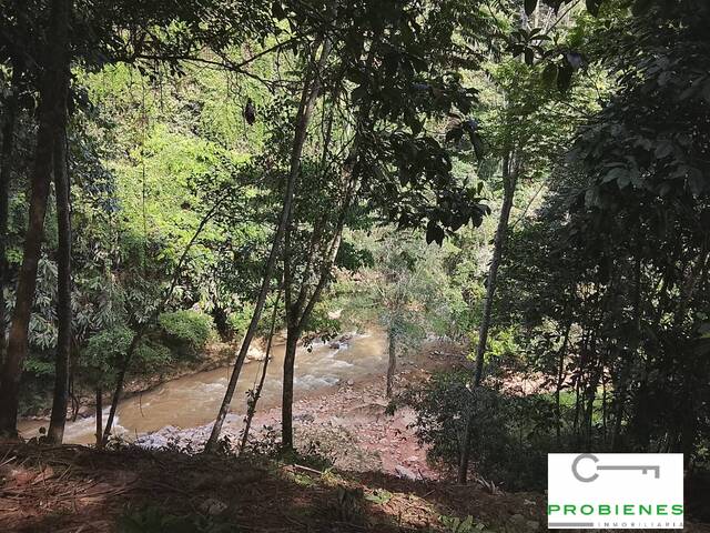 Isla para Venta en La Dorada - 4