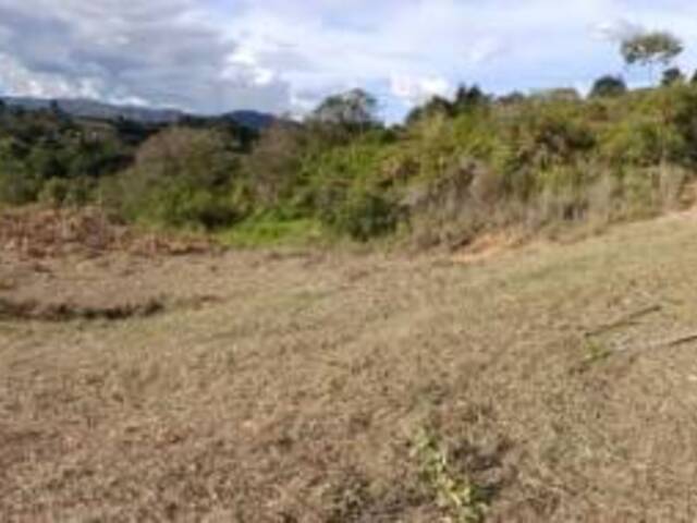 #2535 - Lote para Venta en Guarne - ANT - 1