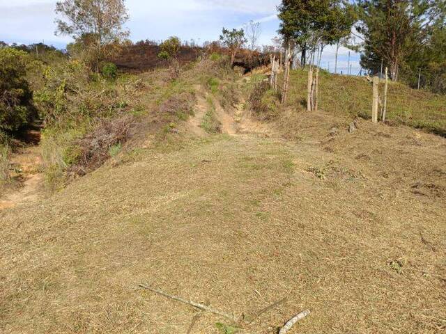 #2535 - Lote para Venta en Guarne - ANT - 2